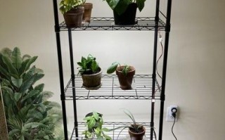 105元自制带LED灯的植物展示架教程，省钱又实用！