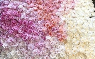 超低成本DIY咖啡滤纸花墙装饰教程，租房也能轻松上手