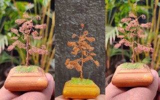 零成本铜丝变盆景树，手把手教你打造迷你艺术