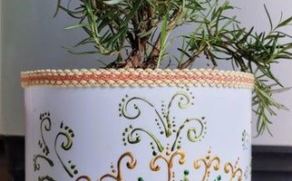 旧瓶变花盆：环保手工DIY教程