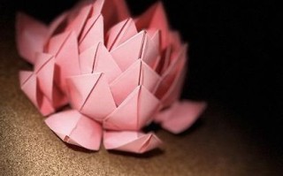超简单折纸睡莲教程，零基础也能轻松学会