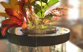 DIY磁流体展示装置制作教程，让液体‘跳舞’起来