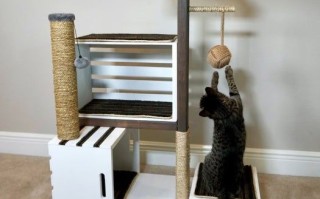 低成本DIY猫爬架教程，旧物改造也能让猫咪超喜欢