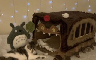 手工制作龙猫猫巴士猫咪窝教程，超萌又实用！