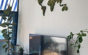 低成本DIY苔藓世界地图墙教程