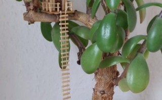 简单易学的迷你树屋DIY教程