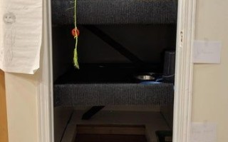 低成本DIY嵌入式猫爬架教程，省钱又实用的猫咪玩耍空间