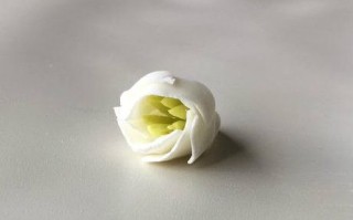 手工黏土花卉制作教程：创意家居装饰与饰品DIY