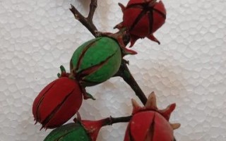 用Tamhan果实手工制作彩色人造花教程
