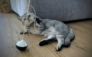 手工制作会动的猫咪玩具教程