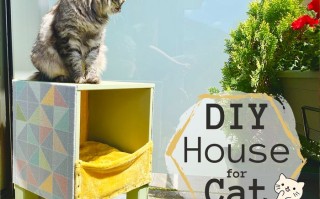 低成本手工打造现代猫咪小屋教程