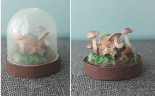 扭蛋机胶囊DIY：微型生态瓶立体场景制作教程