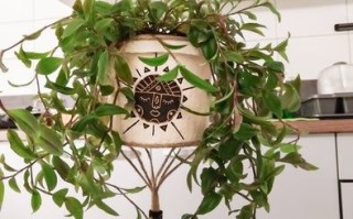 波西米亚风悬挂花盆改造教程-旧塑料花盆变身艺术品