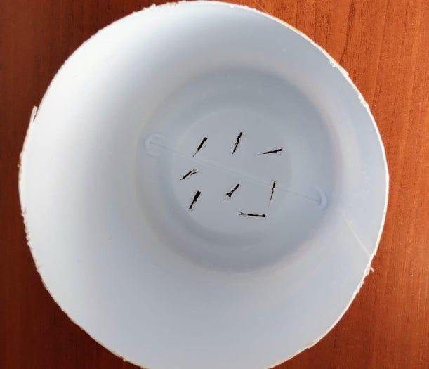 旧瓶变花盆:环保手工DIY教程-第12张图片-趣作屋 旧瓶变花盆:环保手工DIY教程-第12张图片-趣作屋