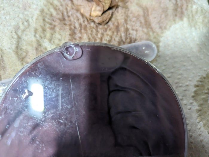 超简单自制流动显示液体解压玩具教程-第9张图片-趣作屋