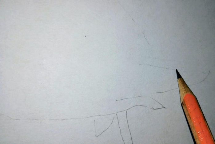 用炭笔画鲨鱼，致敬海洋守护者的艺术之旅-第5张图片-趣作屋