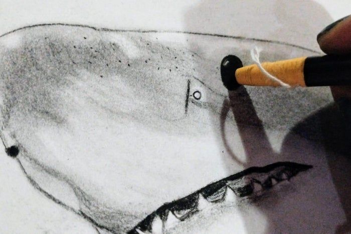 用炭笔画鲨鱼，致敬海洋守护者的艺术之旅-第18张图片-趣作屋