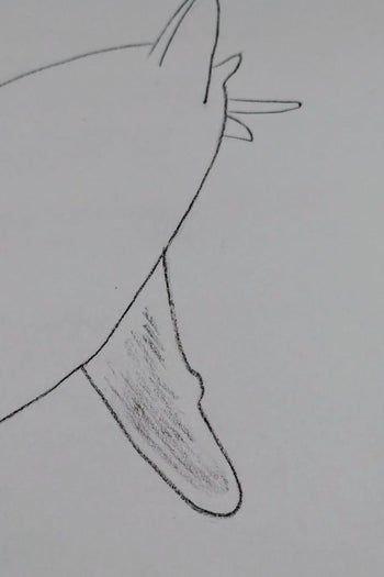 用炭笔画鲨鱼，致敬海洋守护者的艺术之旅-第11张图片-趣作屋