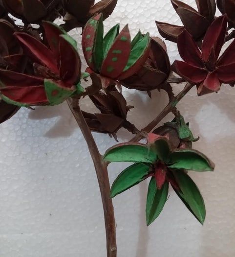 用Tamhan果实手工制作彩色人造花教程-第5张图片-趣作屋 用Tamhan果实手工制作彩色人造花教程-第5张图片-趣作屋