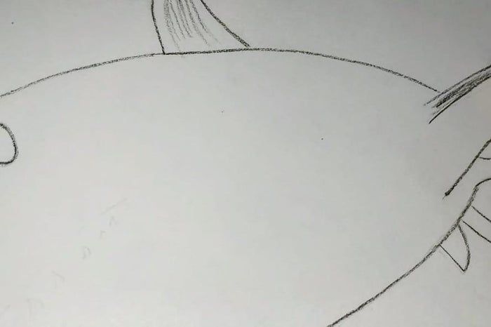 用炭笔画鲨鱼，致敬海洋守护者的艺术之旅-第12张图片-趣作屋