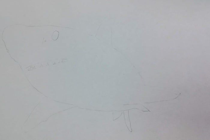 用炭笔画鲨鱼，致敬海洋守护者的艺术之旅-第6张图片-趣作屋