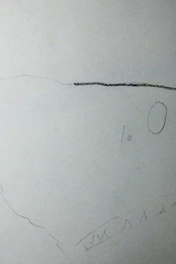 用炭笔画鲨鱼，致敬海洋守护者的艺术之旅-第8张图片-趣作屋