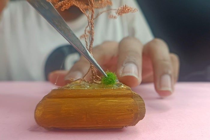 零成本铜丝变盆景树，手把手教你打造迷你艺术-第20张图片-趣作屋