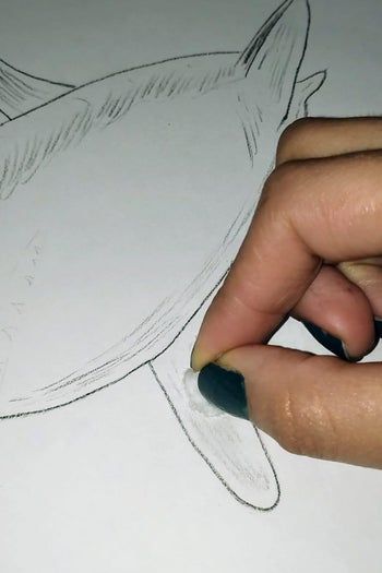 用炭笔画鲨鱼，致敬海洋守护者的艺术之旅-第15张图片-趣作屋