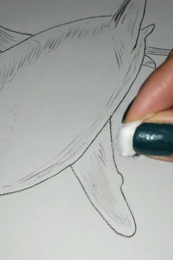 用炭笔画鲨鱼，致敬海洋守护者的艺术之旅-第14张图片-趣作屋