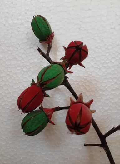 用Tamhan果实手工制作彩色人造花教程-第1张图片-趣作屋 用Tamhan果实手工制作彩色人造花教程-第1张图片-趣作屋