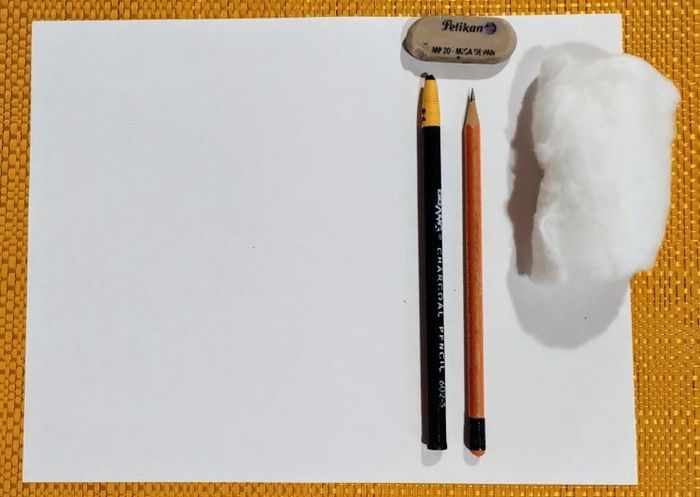 用炭笔画鲨鱼，致敬海洋守护者的艺术之旅-第2张图片-趣作屋