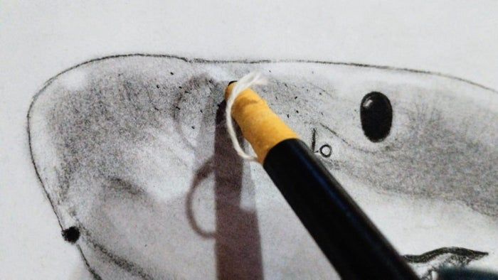 用炭笔画鲨鱼，致敬海洋守护者的艺术之旅-第21张图片-趣作屋