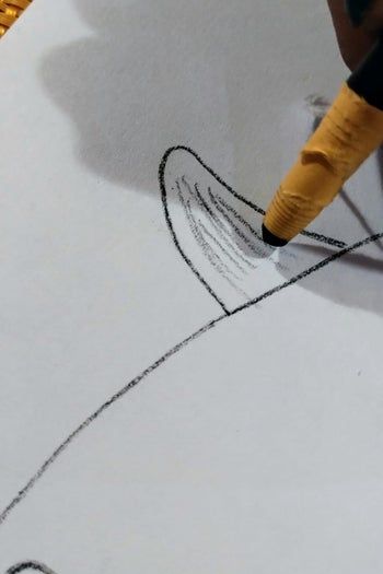 用炭笔画鲨鱼，致敬海洋守护者的艺术之旅-第10张图片-趣作屋