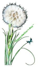 亲手制作蒲公英贺卡，环保又暖心的手工教程-第7张图片-趣作屋