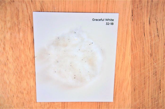 亲手制作蒲公英贺卡，环保又暖心的手工教程-第16张图片-趣作屋