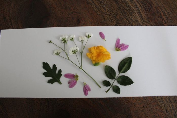 手工压花卡片制作教程,母亲节创意礼物推荐-第12张图片-趣作屋 手工压花卡片制作教程,母亲节创意礼物推荐-第12张图片-趣作屋