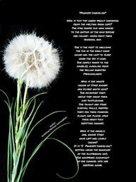 亲手制作蒲公英贺卡，环保又暖心的手工教程-第6张图片-趣作屋