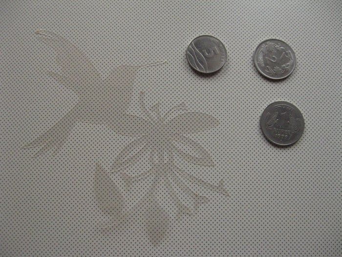 手工制作创意生日贺卡教程,简单又有趣-第5张图片-趣作屋 手工制作创意生日贺卡教程,简单又有趣-第5张图片-趣作屋