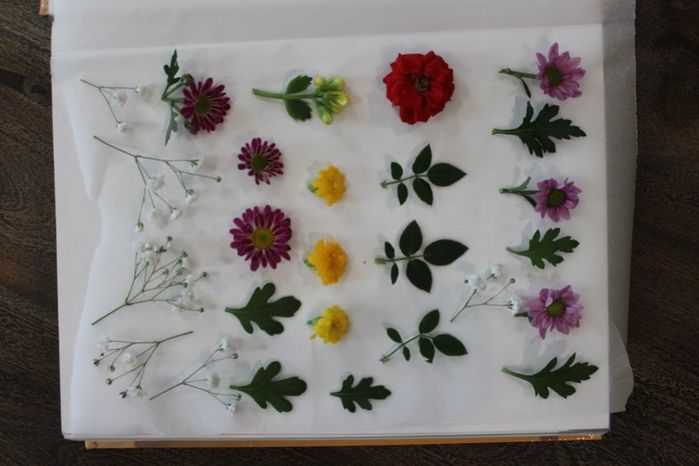 手工压花卡片制作教程,母亲节创意礼物推荐-第7张图片-趣作屋 手工压花卡片制作教程,母亲节创意礼物推荐-第7张图片-趣作屋