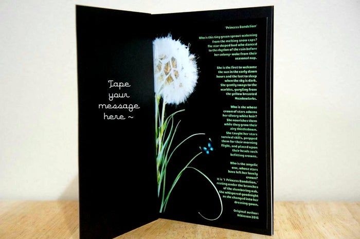 亲手制作蒲公英贺卡，环保又暖心的手工教程-第24张图片-趣作屋