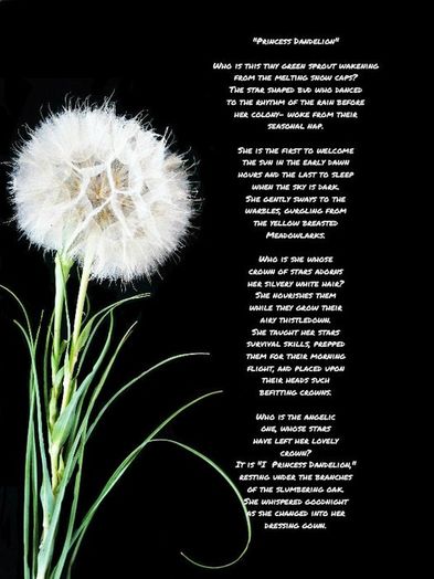 亲手制作蒲公英贺卡，环保又暖心的手工教程-第21张图片-趣作屋