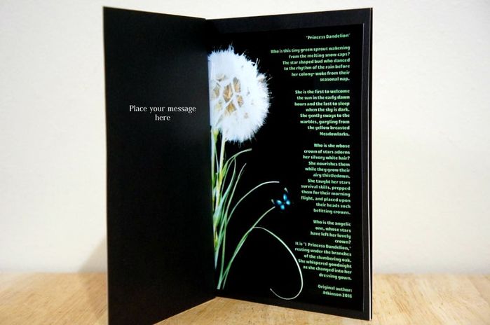 亲手制作蒲公英贺卡，环保又暖心的手工教程-第26张图片-趣作屋