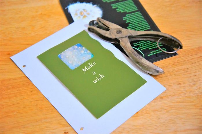 亲手制作蒲公英贺卡，环保又暖心的手工教程-第20张图片-趣作屋