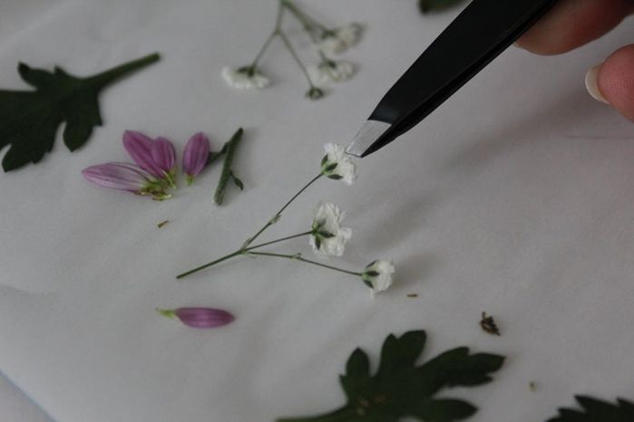 手工压花卡片制作教程,母亲节创意礼物推荐-第11张图片-趣作屋 手工压花卡片制作教程,母亲节创意礼物推荐-第11张图片-趣作屋