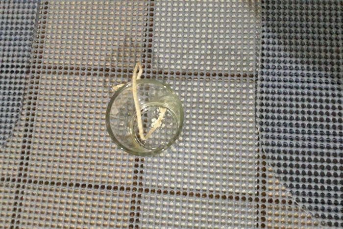 自制十二月之韵香薰蜡烛教程-第16张图片-趣作屋