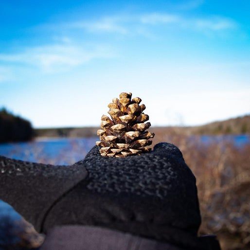 城市居民也能做的趣味松果花环手工教程-第2张图片-趣作屋