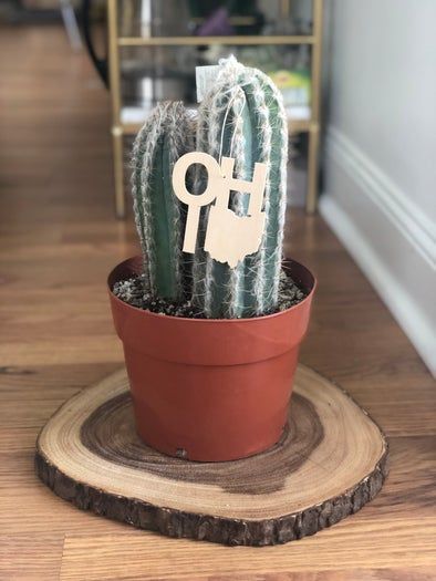 轻松DIY：用Cricut Maker自制木质州名挂饰-第1张图片-趣作屋