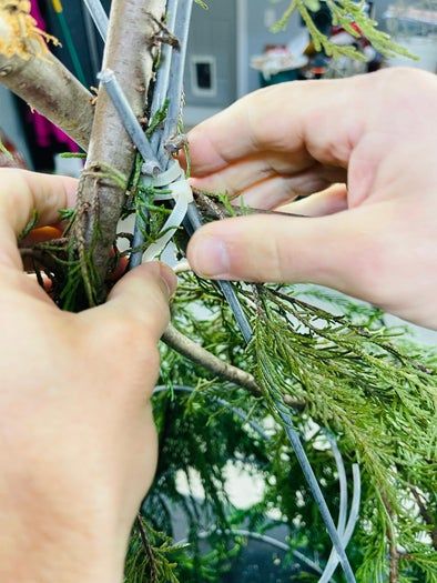 轻松制作梦幻圣诞小矮人手工教程-第7张图片-趣作屋 轻松制作梦幻圣诞小矮人手工教程-第7张图片-趣作屋