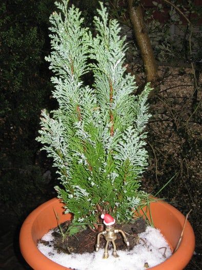 圣诞老人助手Mk1机器人制作指南-第26张图片-趣作屋