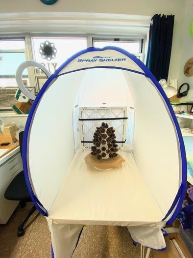 城市居民也能做的趣味松果花环手工教程-第7张图片-趣作屋